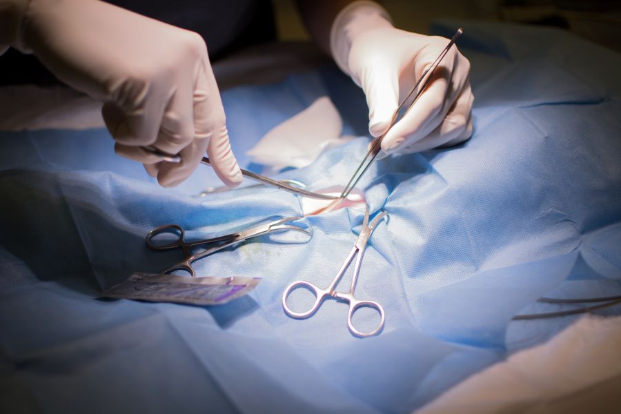 Chirurgia veterinaria